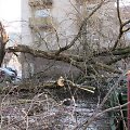 Herkaus Manto gatvėje stiprus vėjas i&scaron;vertė medį.