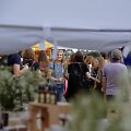 &bdquo;Vegfest LT&ldquo; vasaros festivalis 