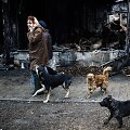 &Scaron;unys separatistų kontroliuojamame Donecke