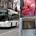 Autobusas Panevėžyje