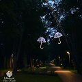 Meilės alėja &ndash; Olgos Kadler-Baltru&scaron;aitienės nuotr.