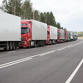 Vilkikai
