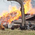 Įvykio vietoje Vilniaus rajone