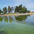 Kauno marios. Maudykla prie Pažaislio vienuolyno