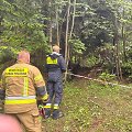 Vieta, kur surastas sudužęs sraigtasparnis Lenkijos Beskiduose