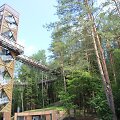Medžių lajų tako apžvalgos bok&scaron;tas
