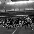 &bdquo;All Blacks&ldquo; haka