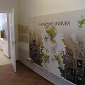 Sezoną pradedančiame Veisiejų regioninio parko Lankytojų centre įrengta nauja ekspozicija