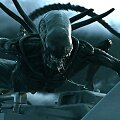 Filmas &bdquo;Svetimas. Covenant&ldquo;