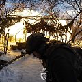 Ukrainos karys