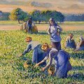Camille'io Pissarro &bdquo;La Cueillette des Pois&ldquo; (Žirnių skynimas) 