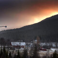 Laimingas &scaron;unų gyvenimas Norvegijoje