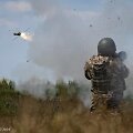 Ukrainos karys