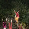 &bdquo;Fauna Circus&ldquo;
