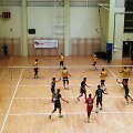 Lietuvos tinklinio taurės varžybos
