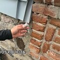 Bylos įkalčiai