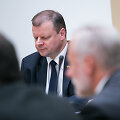 Gabrielius Landsbergis ir Saulius Skvernelis