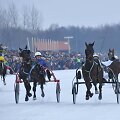Legendinės žirgų lenktynės