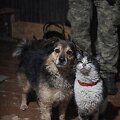 Ukrainiečių i&scaron;gelbėtas &scaron;uo ir katė