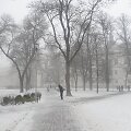 Kovo pradžia Vilniuje