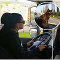 Justina Remeikaitė vairuoja vilkiką kartu su partneriu ir katinu