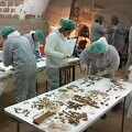 Viename Madrido vienuolyne antradienį buvo ekshumuoti Ispanijos nacionalinio literatūros grando Miguelio de Cervanteso palaikai, praėjus beveik 400 metų po ra&scaron;ytojo mirties.