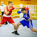 Lietuvos bokso čempionatas