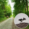 Kai oro pavojus užklumpa mi&scaron;ke