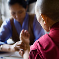 Tibeto medicina