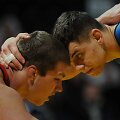 2017 metų Lietuvos imtynių čempionatas