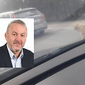Zigmas Mozuraitis savo &scaron;unį &scaron;ventinį vasario 16-osios savaitgalį &bdquo;vedžiojo&ldquo; priri&scaron;ęs prie automobilio