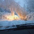 Anyk&scaron;čių rajone &scaron;lapio sniego neatlaikę medžiai užvirto ant kelių