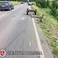 Vilniaus rajone automobilis trenkėsi į arklio traukiamą vežimą