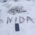 Kur&scaron;ių mariose jau ėmė aktyviau kibti stintos