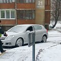 Jonavoje per parą apvogta dvylika automobilių