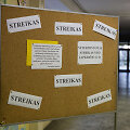 Streikas Vilniaus Žemynos progimnazijoje