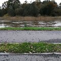 Danės upės vandens lygis dėl lietaus yra stipriai pakilęs.