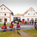 Hola&scaron;ovicė