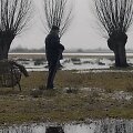 Kadras i&scaron; Algimanto Puipos filmo &bdquo;Kita tylos pusė&ldquo;