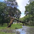 Po audros &ndash; nusiaubtas Ramybės parkas Kaune
