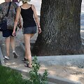 Garliavoje augantis &scaron;imtametis ąžuolas