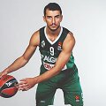 Leo Westermannas