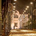 Kalėdoms pasipuo&scaron;usi Palanga