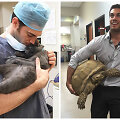 Seksualiausias pasaulio veterinaras Evanas Antinas