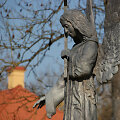Liubavo angelas