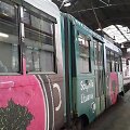 Lietuvą Italijoje reklamuoja &scaron;altibar&scaron;čių vaizdas, i&scaron;pie&scaron;tas ant tramvajaus