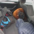 Kalvarijos užkardoje sulaikytame automobilyje vežti vietnamiečiai