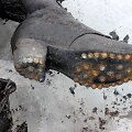 &Scaron;veicarijos Alpėse rasti poros palaikai
