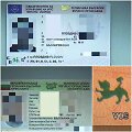 Asmens tapatybės kortelės ir vairuotojo pažymėjimo klastotės