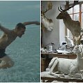 Kadrai i&scaron; filmų &bdquo;I&scaron;gyventi vasarą&ldquo; ir &bdquo;Animus Animalis (istorija apie žmones, žvėris ir daiktus)&ldquo;